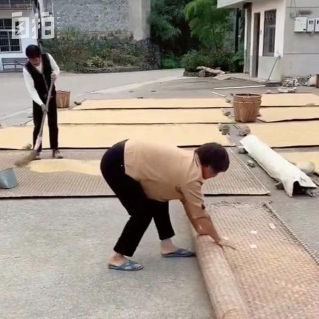 代刷网html统计代码,【QQ代刷网】前台代码大全_爱过河的小马锅的博客-CSDN博客 代刷网html统计代码,【QQ代刷网】前台代码大全_爱过河的小马锅的博客-CSDN博客