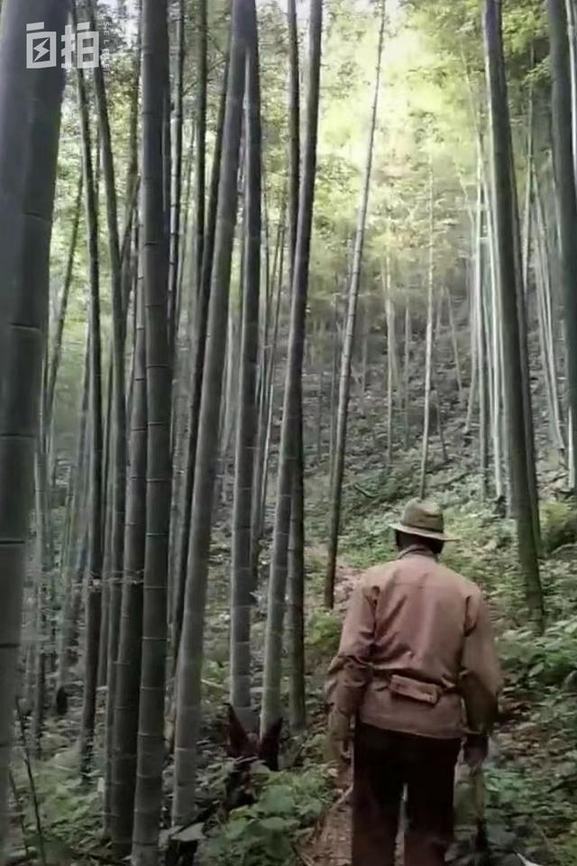 代刷网html统计代码,【QQ代刷网】前台代码大全_爱过河的小马锅的博客-CSDN博客 代刷网html统计代码,【QQ代刷网】前台代码大全_爱过河的小马锅的博客-CSDN博客