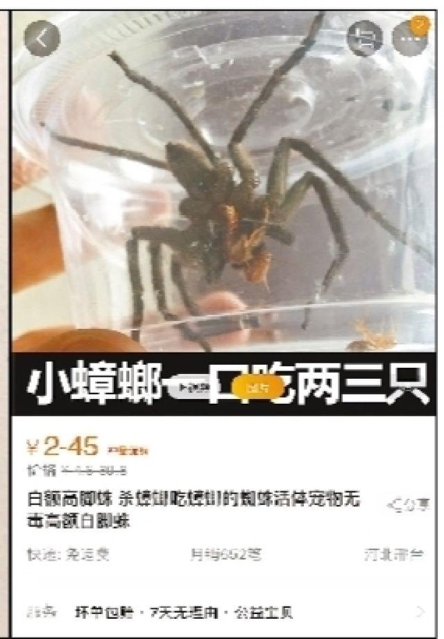 qq说说赞自助下单平台10个,空间说说赞自助下单平台-图片说说-飞蛾励志网 qq说说赞自助下单平台10个,空间说说赞自助下单平台-图片说说-飞蛾励志网