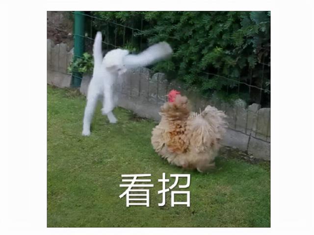 米业务-代做CF活动平台绿色不封号安全靠谱 米业务-代做CF活动平台绿色不封号安全靠谱