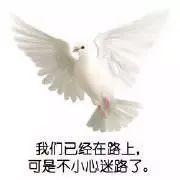 刷快手双击播放在线平台免费蚂蚁 刷快手双击播放在线平台免费蚂蚁
