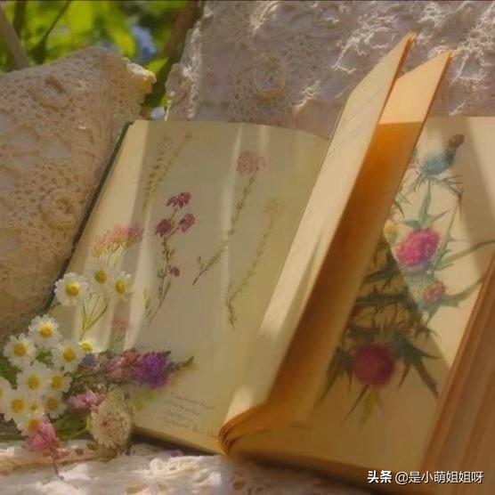 快手涨一千粉多少钱快手怎么涨粉_游戏狗手机版 快手涨一千粉多少钱快手怎么涨粉_游戏狗手机版