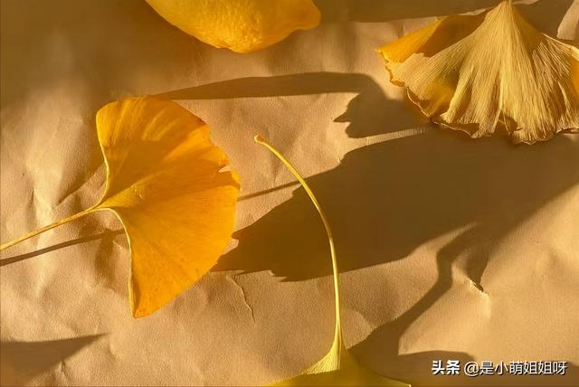 快手涨一千粉多少钱快手怎么涨粉_游戏狗手机版 快手涨一千粉多少钱快手怎么涨粉_游戏狗手机版
