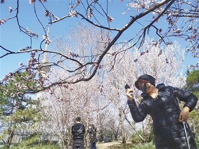抖音在线刷播放、刷赞、粉丝关注、评论、热门精选软件工具平台-DY增粉管家(www.aivob.com)-巨人通讯 抖音在线刷播放、刷赞、粉丝关注、评论、热门精选软件工具平台-DY增粉管家(www.aivob.com)-巨人通讯