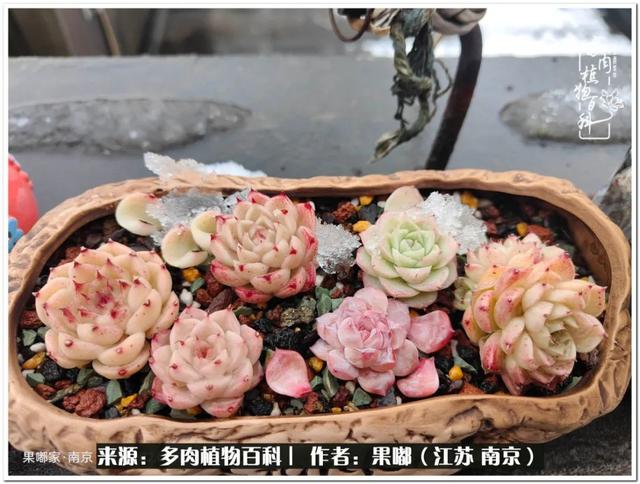球球大作战代刷-球球全网最低自助下单平台 球球大作战代刷-球球全网最低自助下单平台