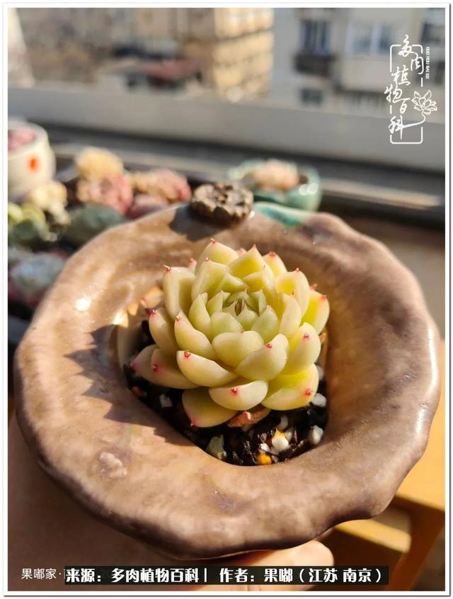 球球大作战代刷-球球全网最低自助下单平台 球球大作战代刷-球球全网最低自助下单平台