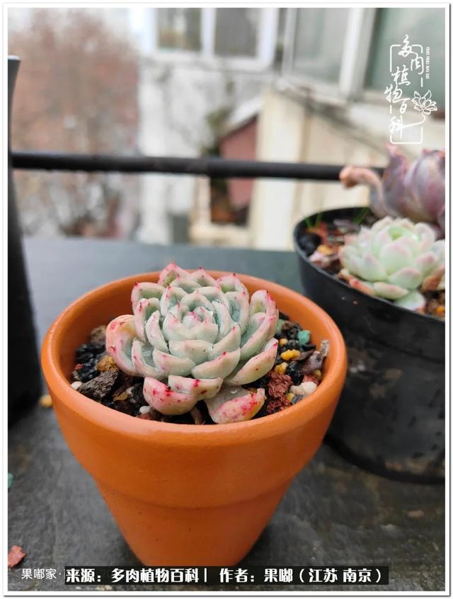 球球大作战代刷-球球全网最低自助下单平台 球球大作战代刷-球球全网最低自助下单平台