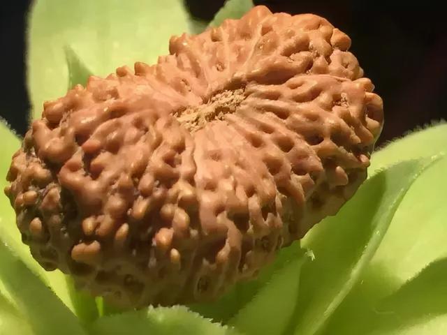 qq名片赞0.1元十万(QQ秀华丽升级,这是要干票大的?)-趣盘玩 qq名片赞0.1元十万(QQ秀华丽升级,这是要干票大的?)-趣盘玩