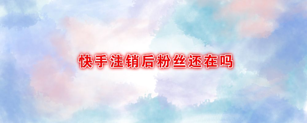 关于三元1000快手粉丝-一块钱1000个快手粉丝-业务频道的信息