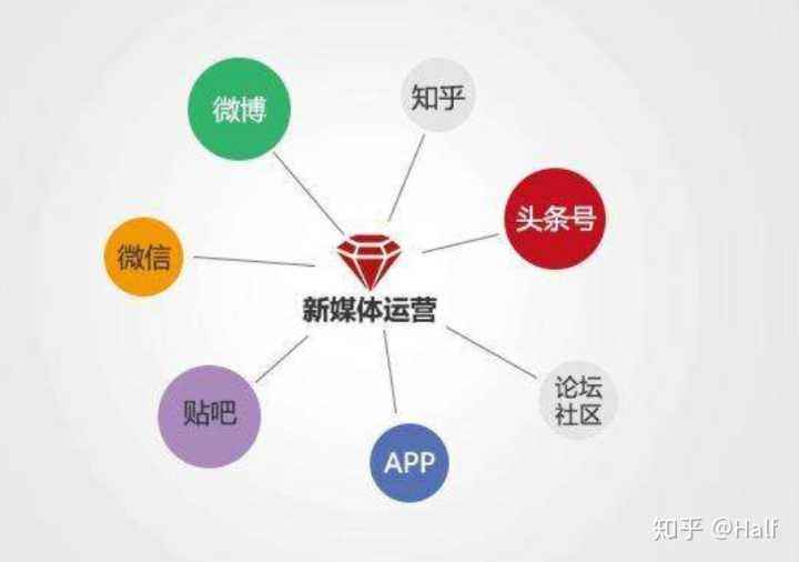 包含抖音快手淘宝直播小红书微信微博：新媒体最全运营指南的词条