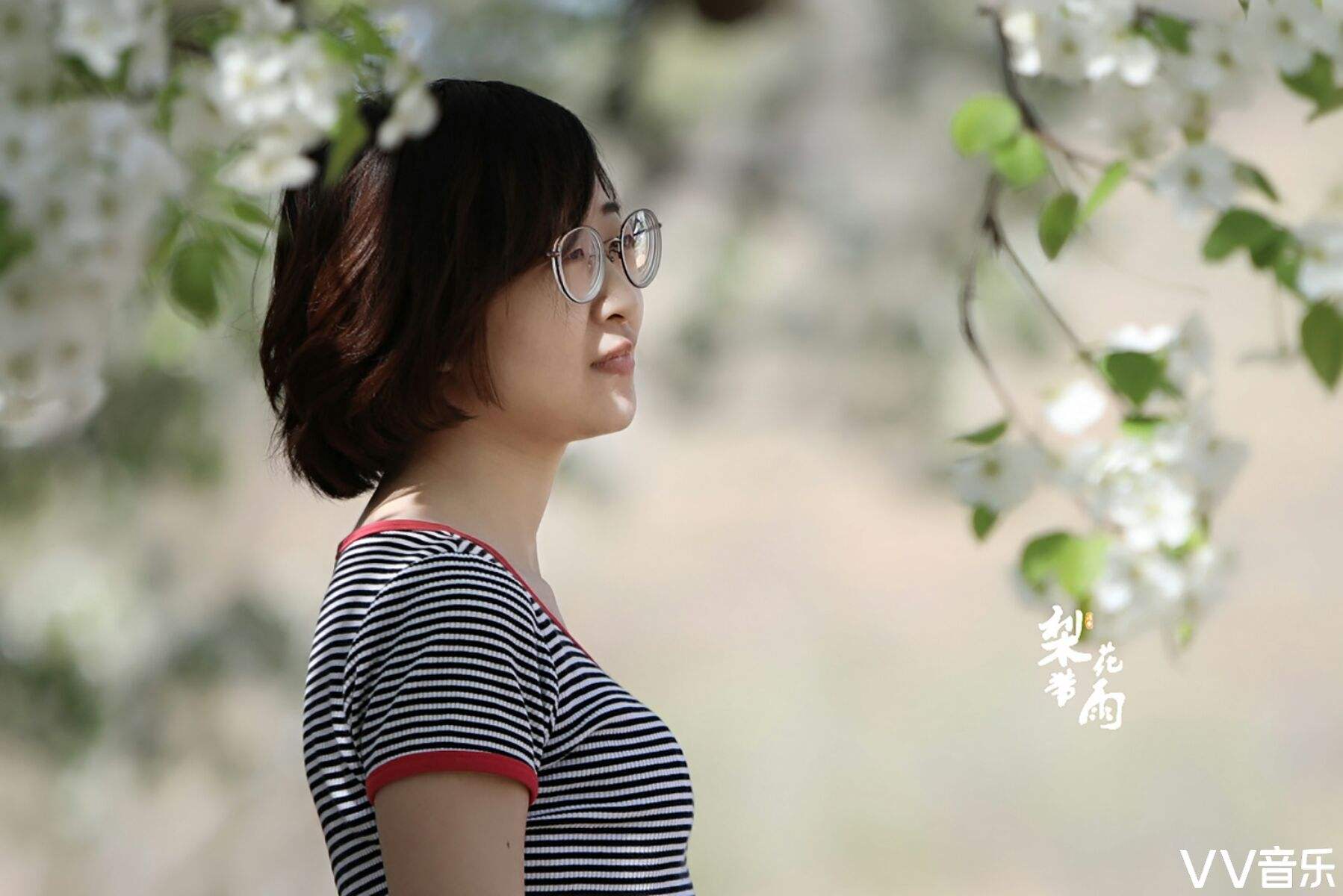 包含www.c88cc.cn的词条