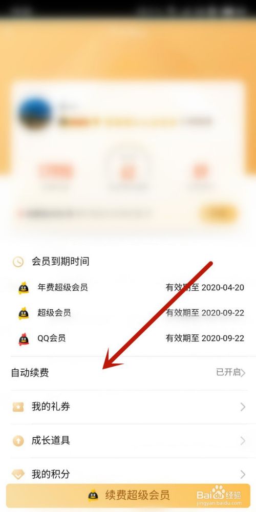 QQ超级会员多少钱（QQ超级会员特权介绍）-鱼摆摆教程的简单介绍