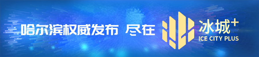 包含小冬代刷网的词条