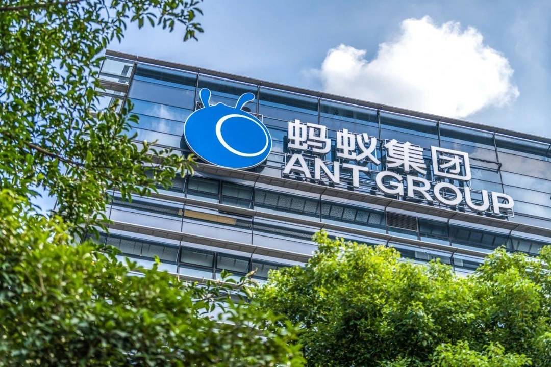 蚂蚁代刷网快手（蚂蚁代刷网是真的吗）