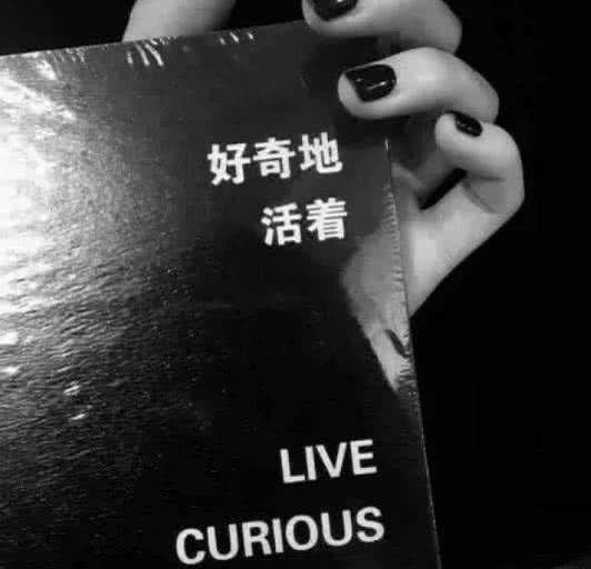 qq空间说说赞平台（空间说说赞平台自助下单微信支付）