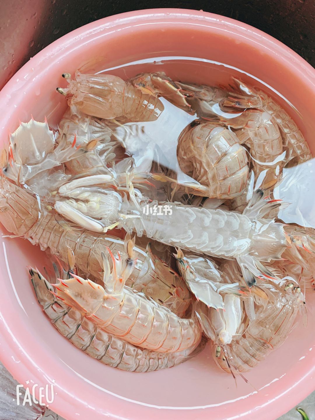 皮皮虾粉丝刷（皮皮虾粉丝最多的人是谁）