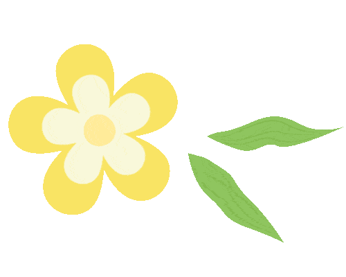 一点点代刷网（一点点自助下单小程序）