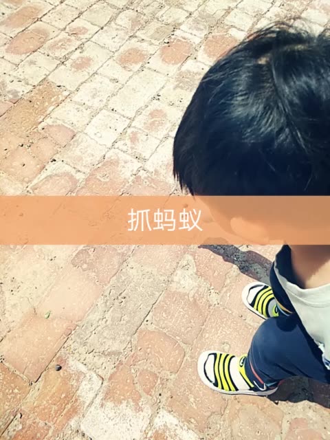刷快手播放双击蚂蚁网站（刷快手播放双击蚂蚁网站怎么关闭）