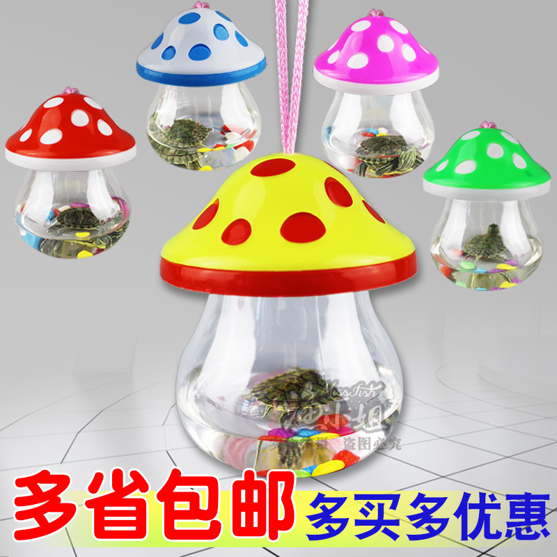 关于蘑菇代刷qq业务网站的信息