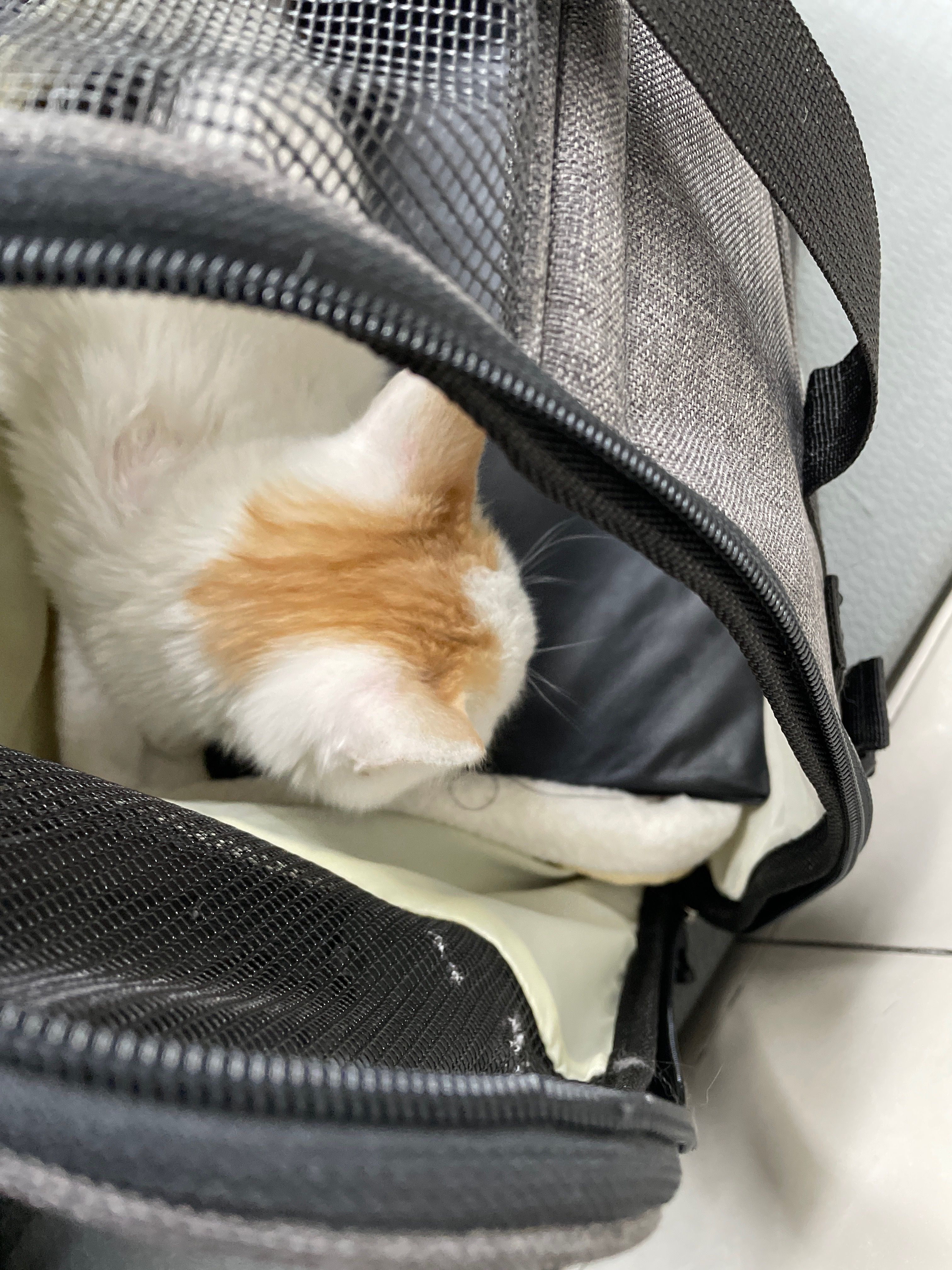 24小时送赞（24小时真人点赞）