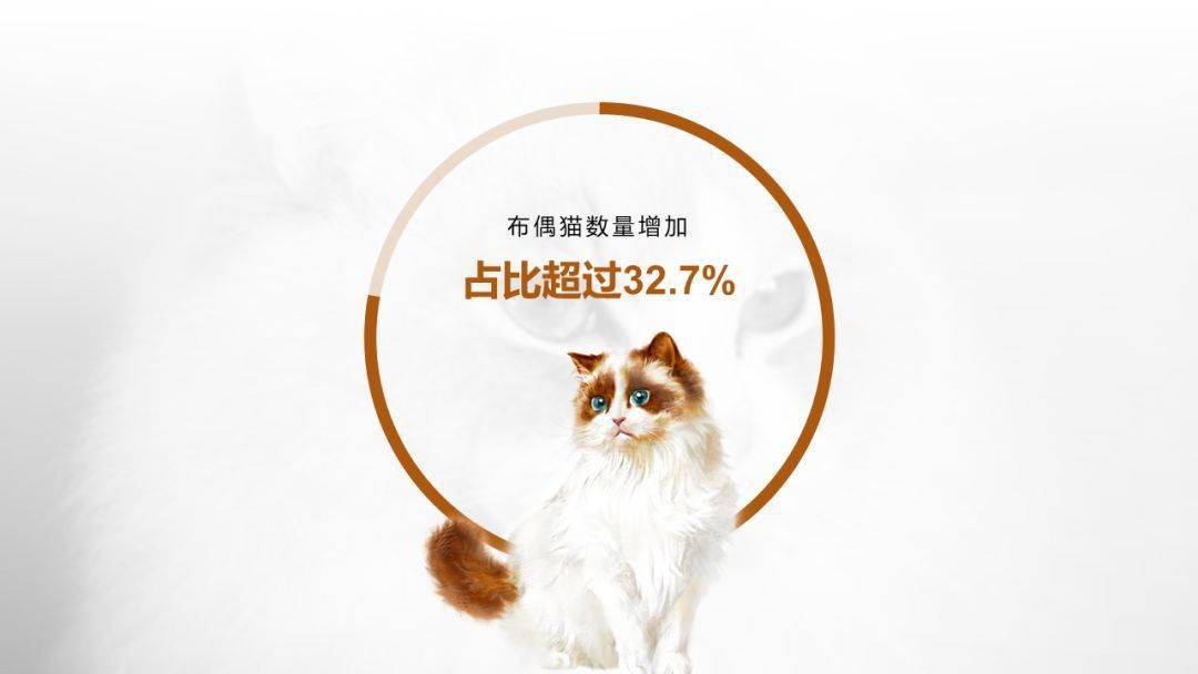 傻瓜代刷（代刷神器下载）