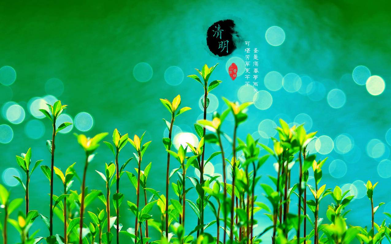 卡盟快手粉丝3元一万众（快手1元3000粉丝平台）