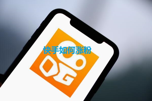 快手粉丝刷粉网的简单介绍