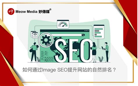 刷站网站（专业刷网站）