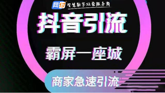 抖音业务平台（抖音业务平台账户认证主体）