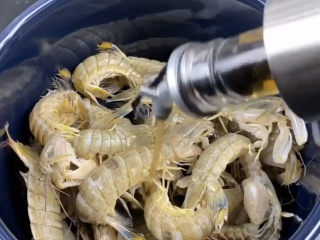 皮皮虾刷粉_皮皮虾怎么刷