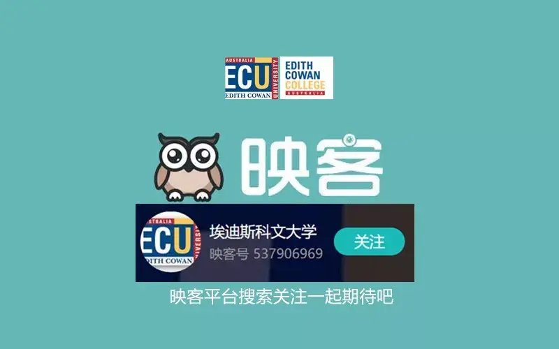 666快刷网站_刷666是什么意思