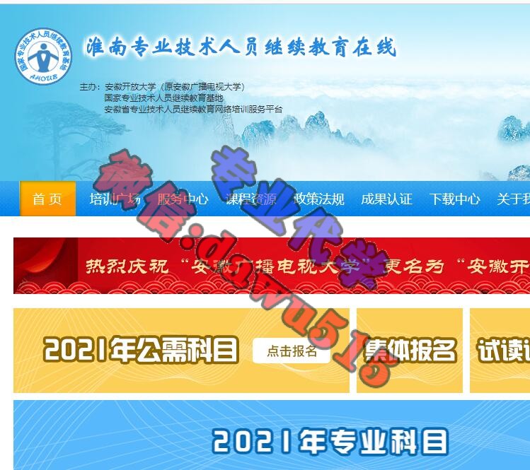 关于在线代刷网的信息