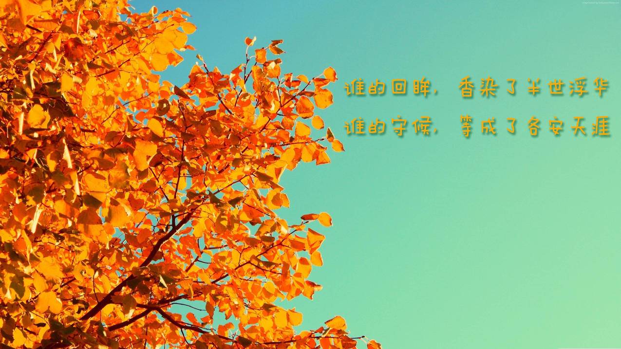 包含qq免费空间说说赞的词条