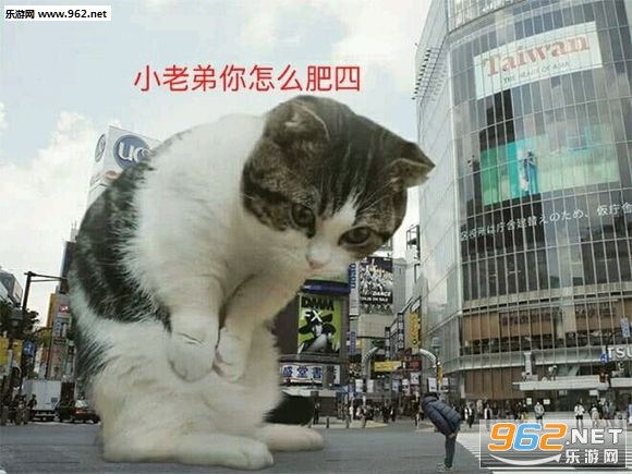 代刷小老弟_小老弟刷快手