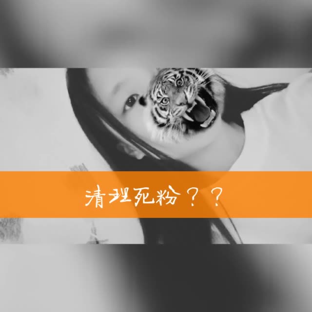 快手死粉下单网站_快手买死粉有什么好处