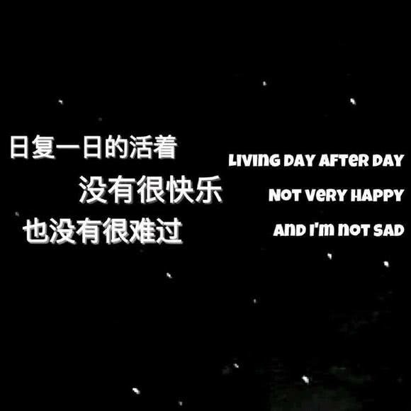 低价qq刷空间说说_低价刷空间说说浏览量10个