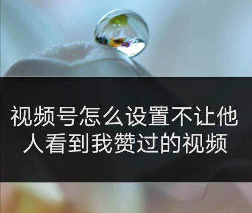 关于买赞1毛1000赞快手的信息