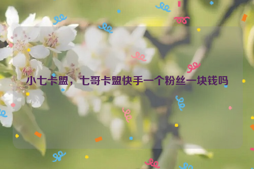 快手一元一千赞_快手一元一千赞24小时自助平台
