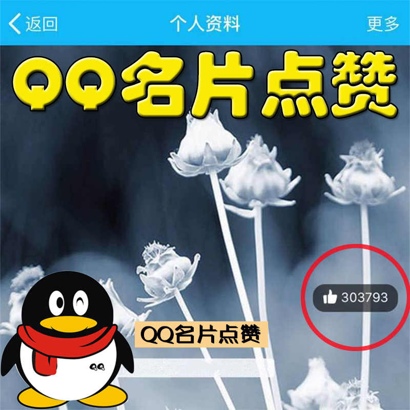 关于最便宜qq名片赞业务的信息