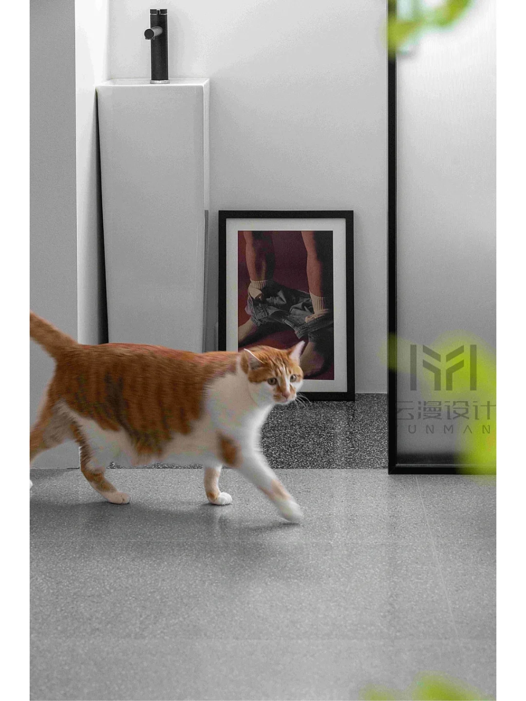 猫九代刷网_喵代网刷软件