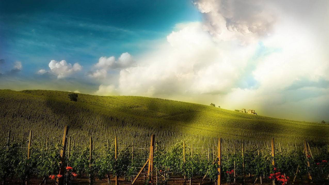 低价刷_我爱云小店低价刷