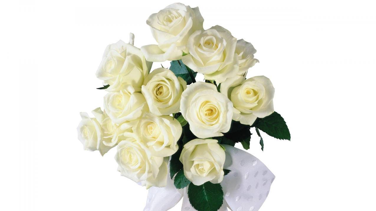 低价刷_我爱云小店低价刷