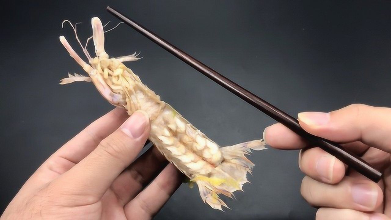 皮皮虾视频刷粉_皮皮虾刷视频赚钱