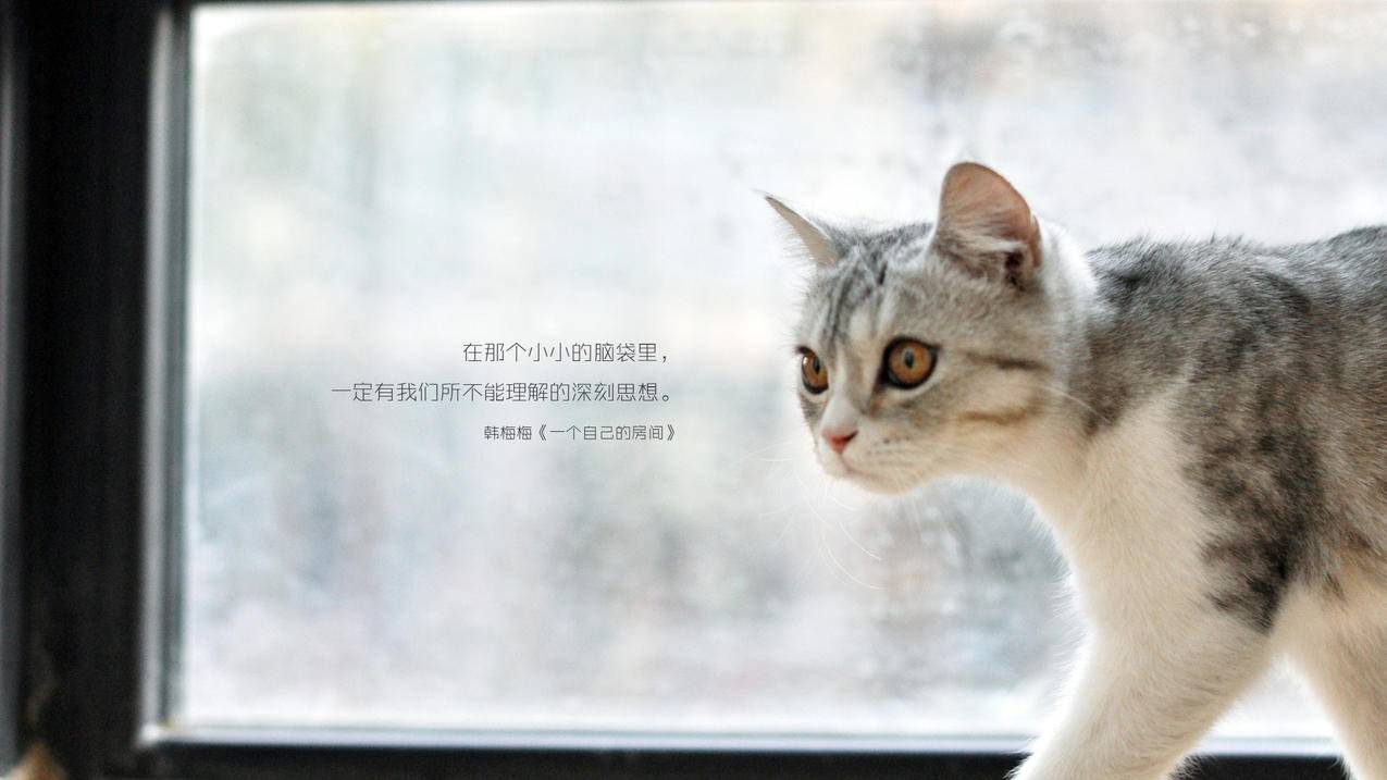 天天刷赞_天天刷视频一个月多少流量够用