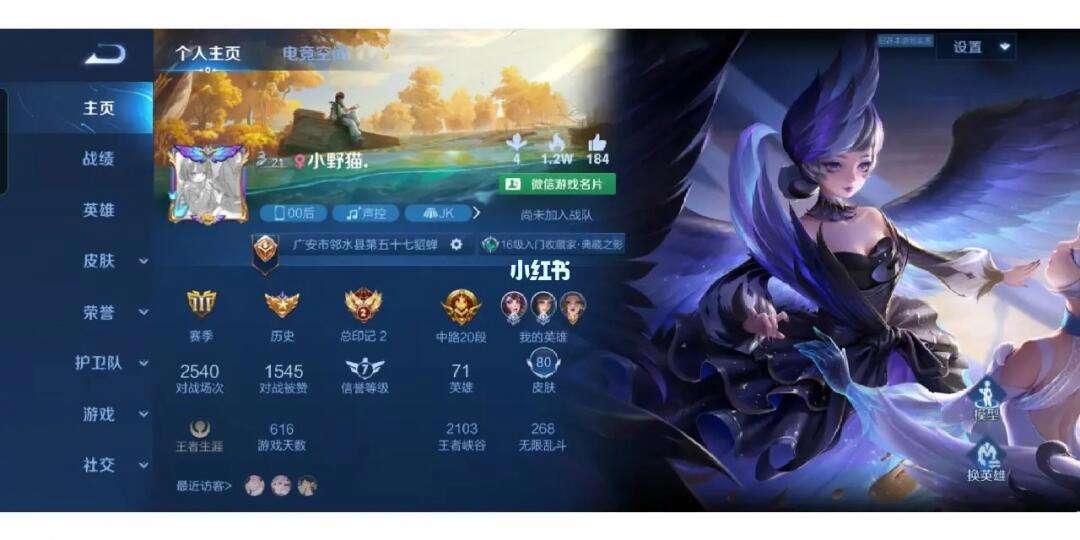 王者荣耀主页代刷_刷王者荣耀代打网站