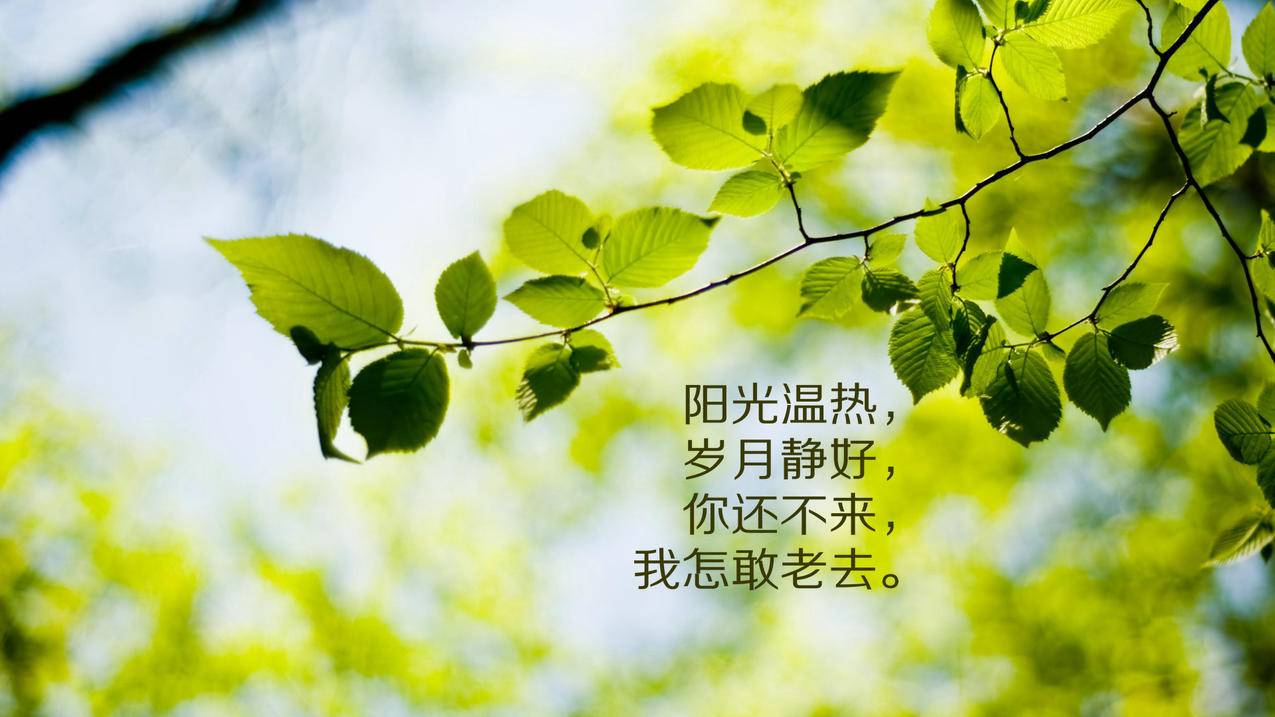 qq空间说说赞免费网站10个_空间说说免费赞网站自然养成乐