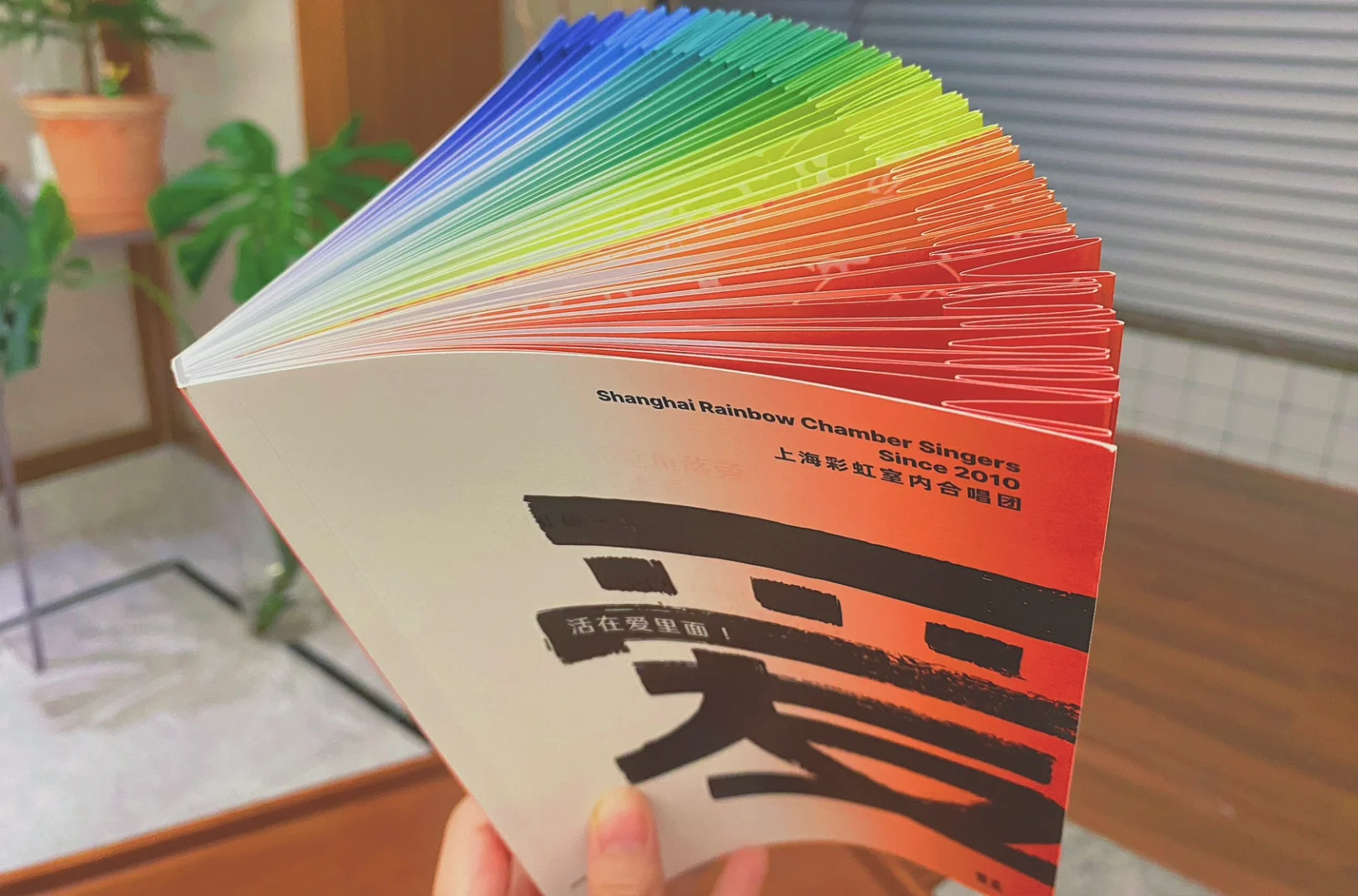 包含彩虹自助下单平台的词条